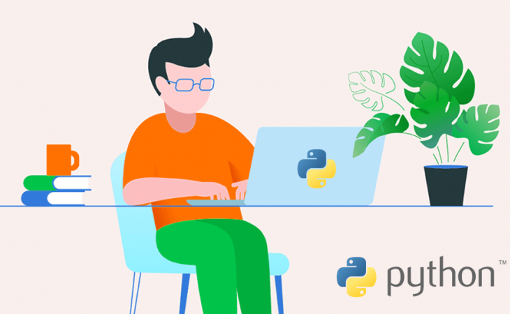 Développeur Python H/F